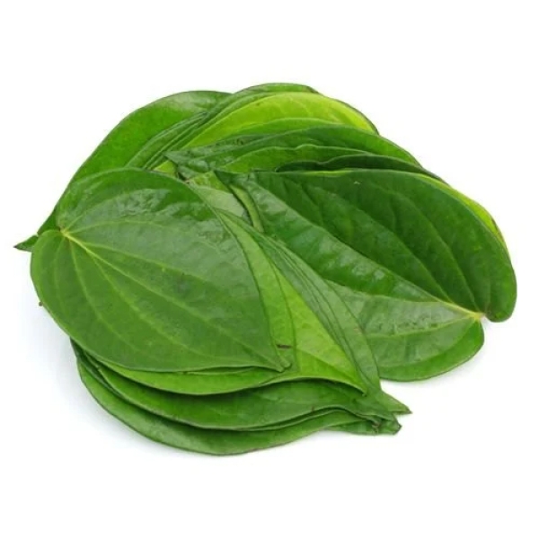 Paan/betel leaf Dry Extract