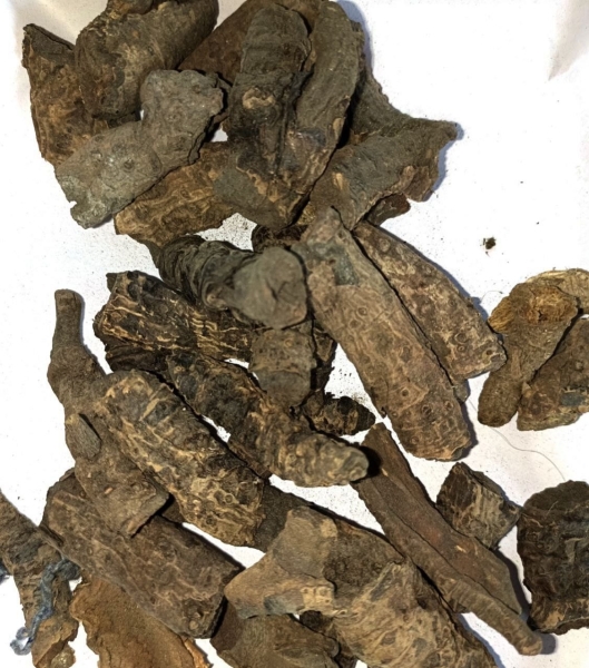 Pashanbhed Dry Extract