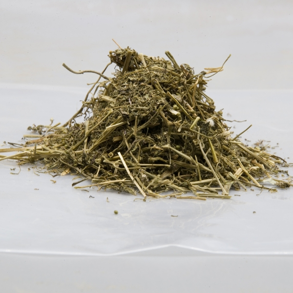 Pitpapda Dry Extract