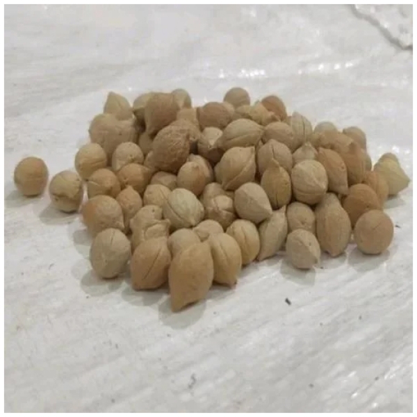 Putrajeevak Dry Extract