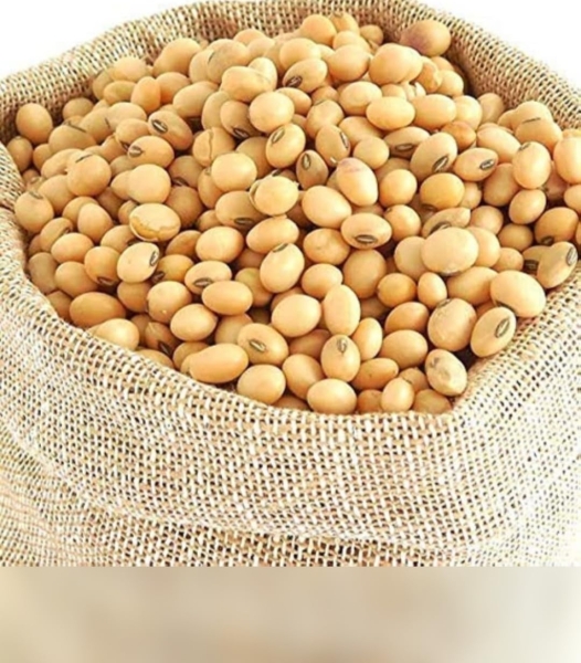 Soya(Soybean) Dry Extract