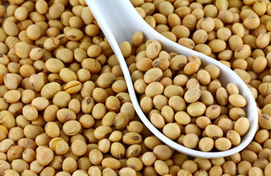 Soya(Soybean) Dry Extract