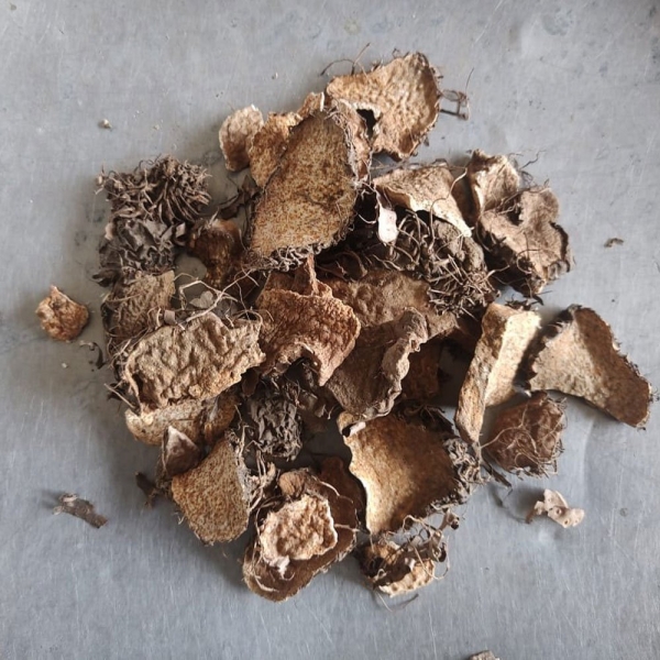 Varahikand Dry Extract