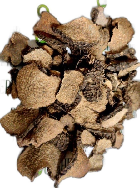 Varahikand Dry Extract