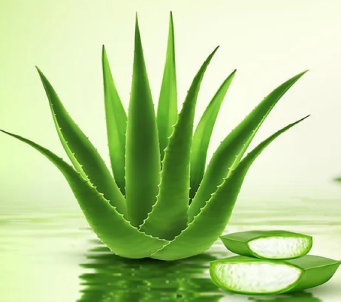 Aloevera
