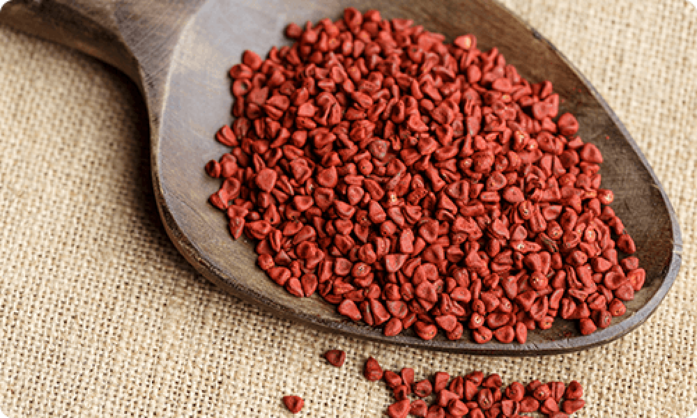 Annatto Seeds
