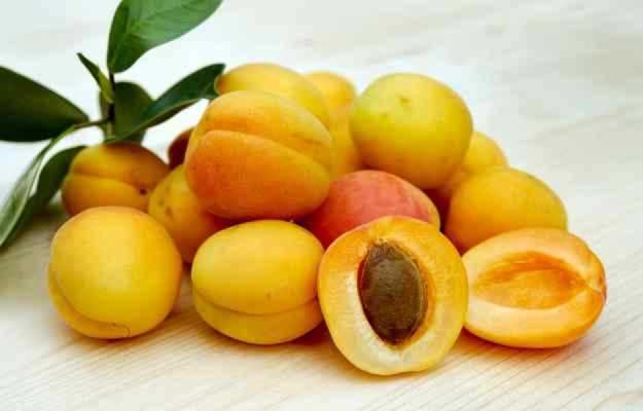 Apricot - Khubani