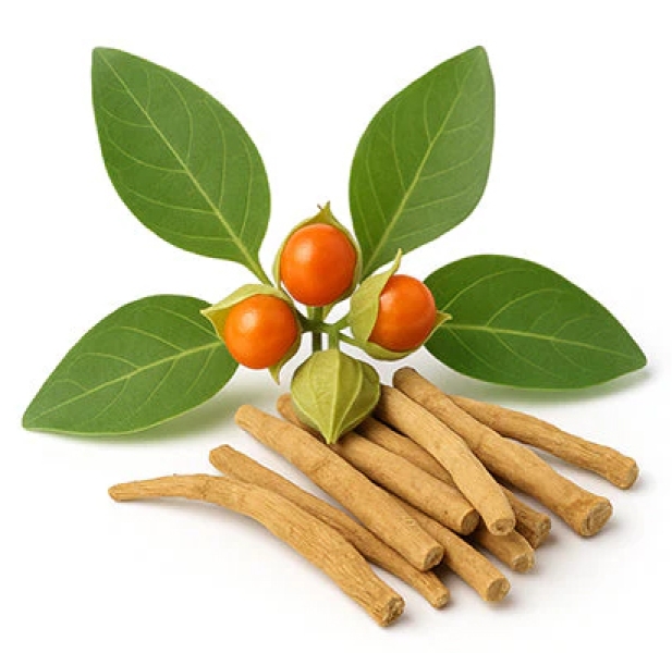 Ashwagandha