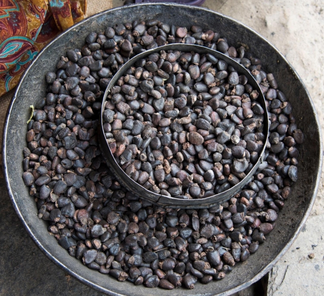 Bhilawa