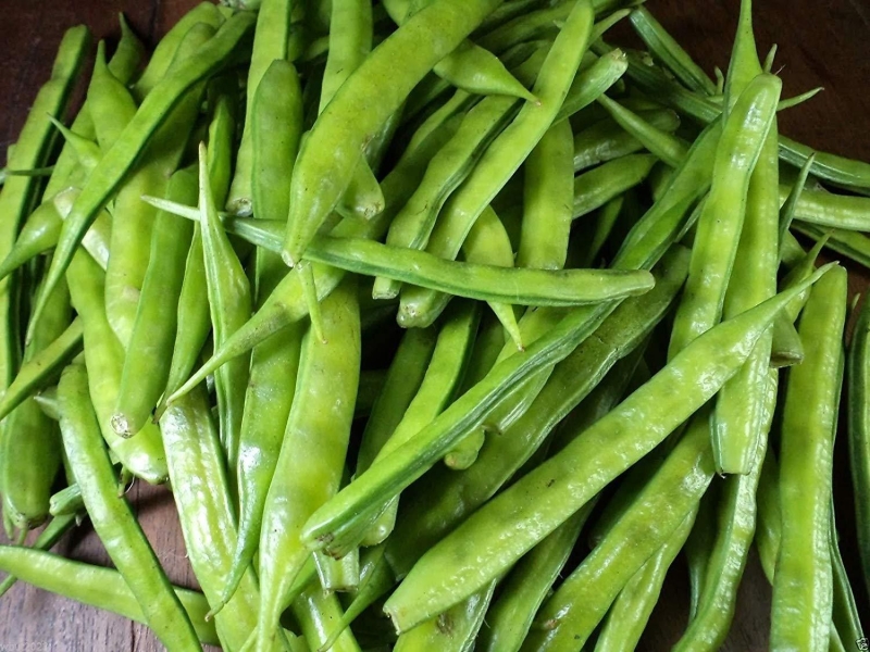 Guar