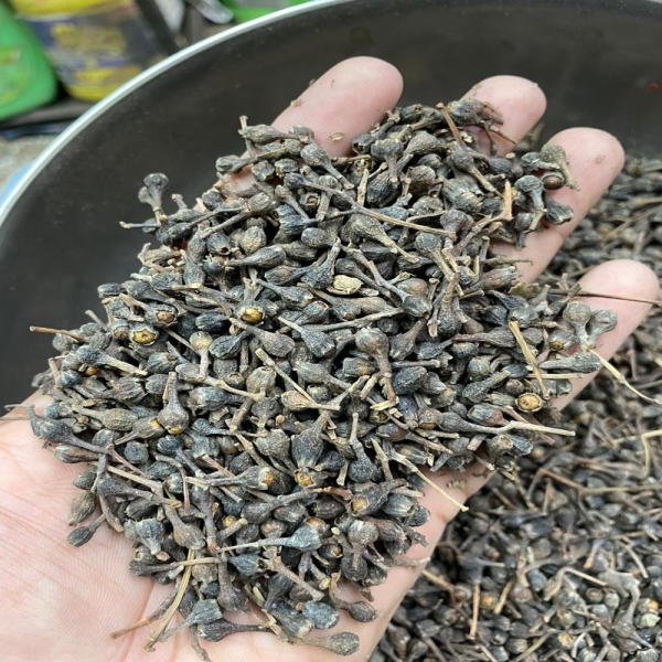 Nageshwar - Nagkesar