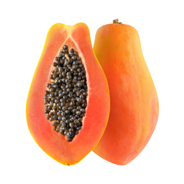 Papaya Papita