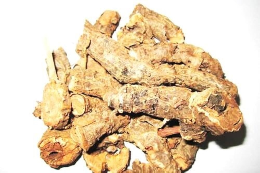 Pashanbhed - Pakhanved