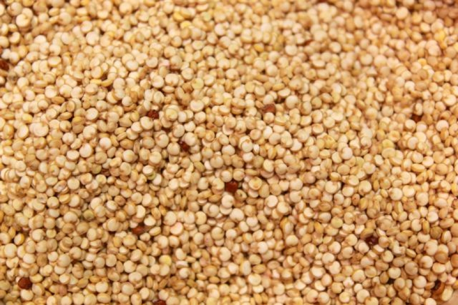 Quinoa