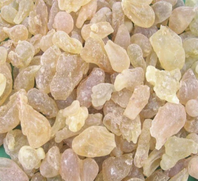 Salai Guggal - Kundru